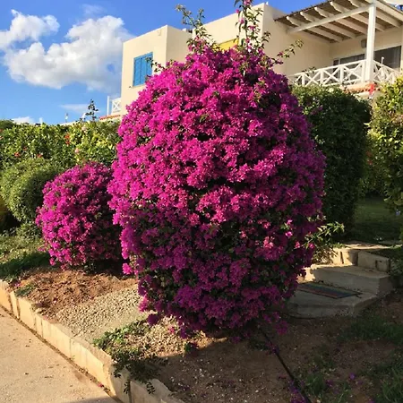 Townhouse Coral Bay Village * Κισσόνεργα