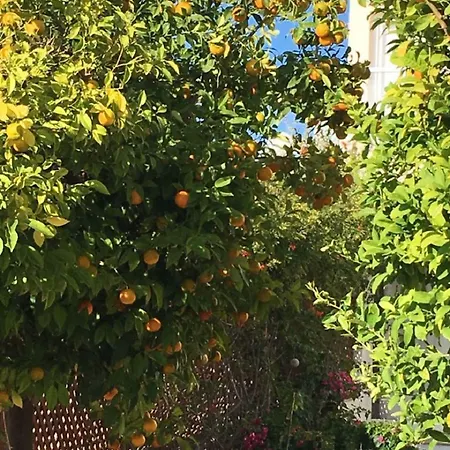 Appartamento Townhouse Coral Bay Village Kissonerga
