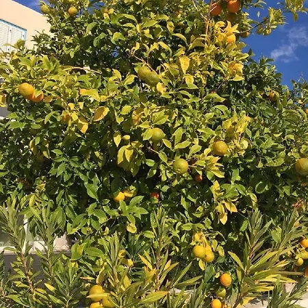 Apartment Townhouse Coral Bay Village Kissonerga
